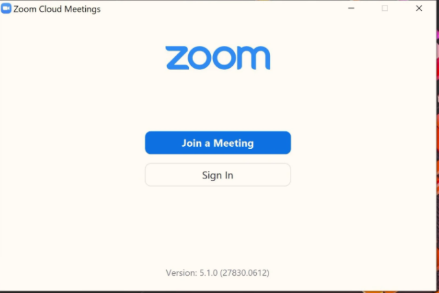 How to Use Zoom on Windows 10
