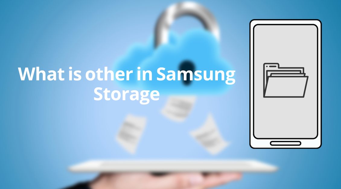 What is other in Samsung storage